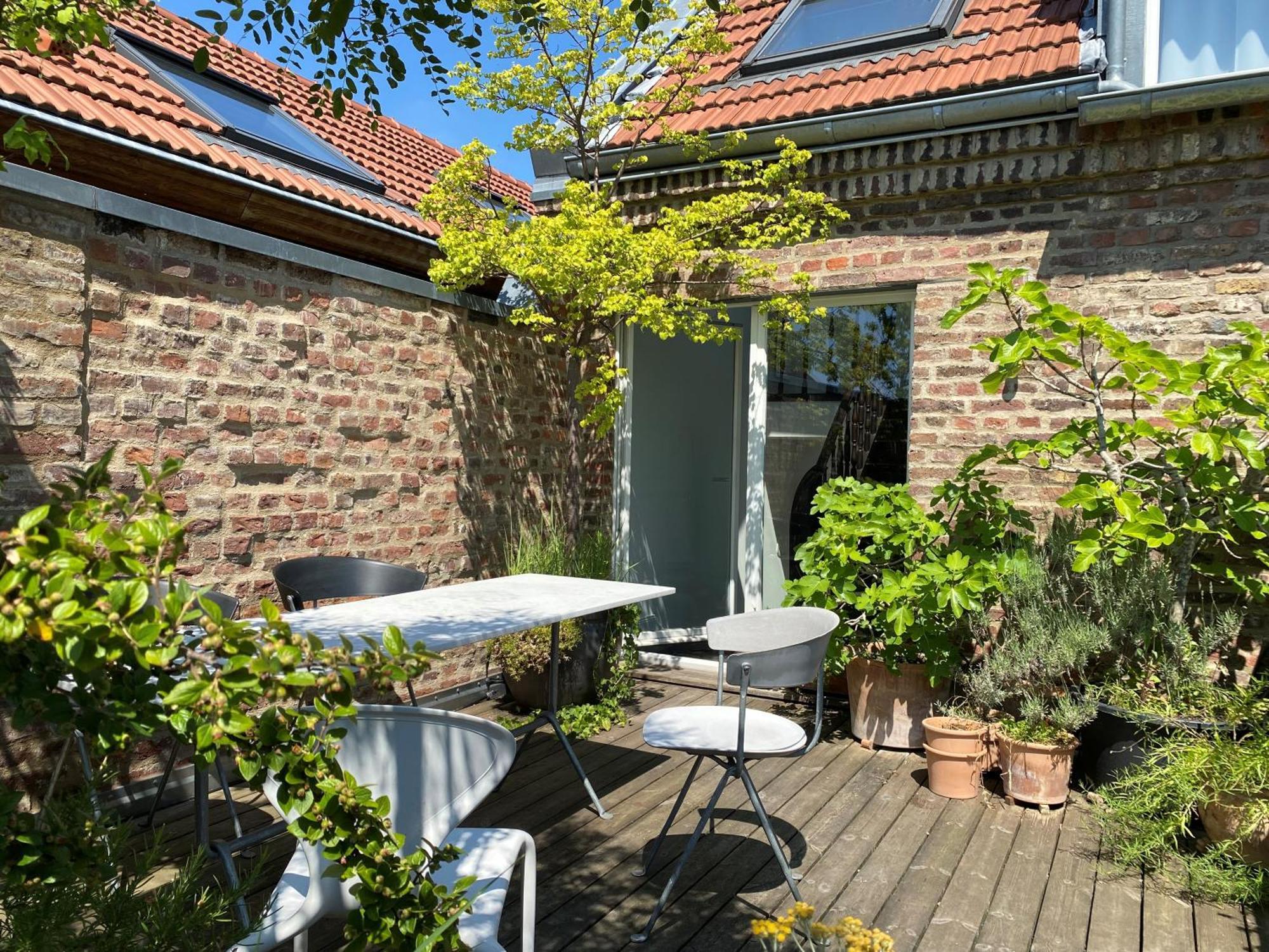 Zehuus Mit Domblick Und Dachterrasse Apartment Cologne Exterior photo