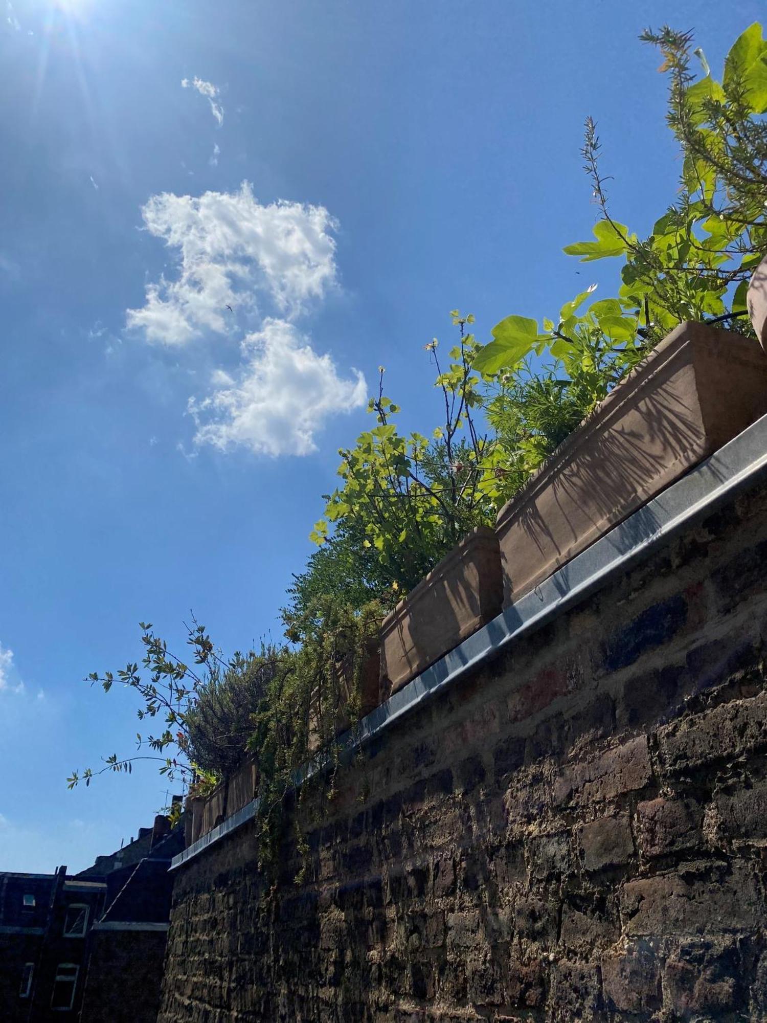 Zehuus Mit Domblick Und Dachterrasse Apartment Cologne Exterior photo